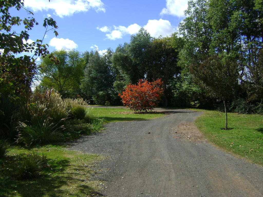 El Ranchito De Areco San Antonio de Areco Exterior foto